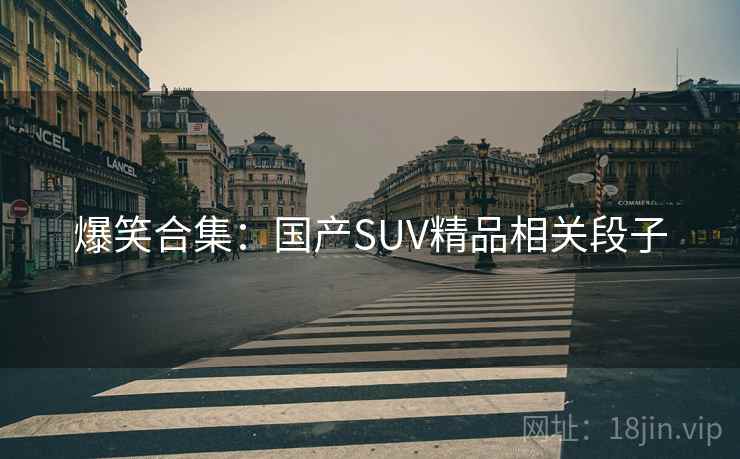 爆笑合集：国产SUV精品相关段子