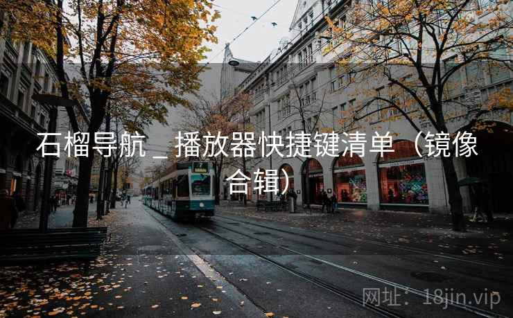 石榴导航 _ 播放器快捷键清单（镜像合辑）