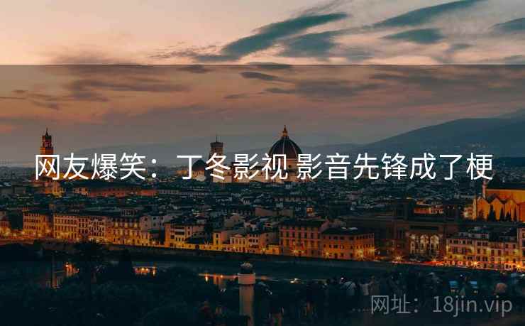 网友爆笑：丁冬影视 影音先锋成了梗